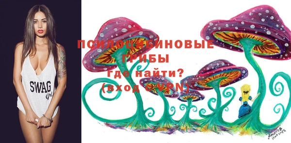 гашиш Осинники