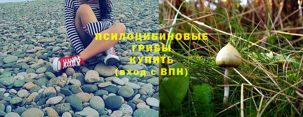 гашиш Осинники