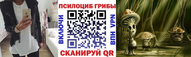 Псилоцибиновые грибы мицелий  Верхняя Салда 