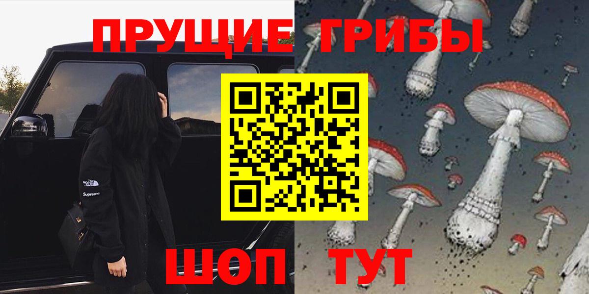 Псилоцибиновые грибы Magic Shrooms  купить закладку  Верхняя Салда  Псилоцибиновые грибы мицелий 