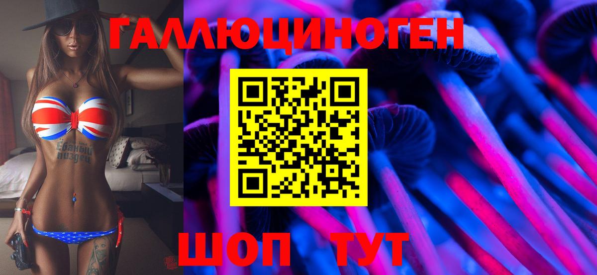 Псилоцибиновые грибы Psilocybe Верхняя Салда